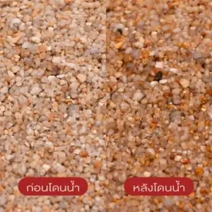 ทรายจืด เบอร์ 16