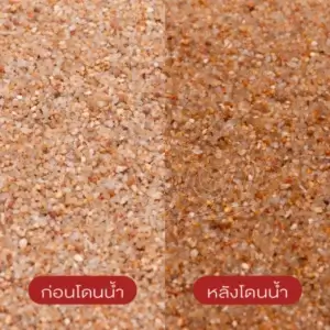 ทรายจืด เบอร์ 25