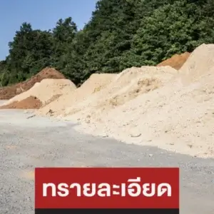 ทรายละเอียด