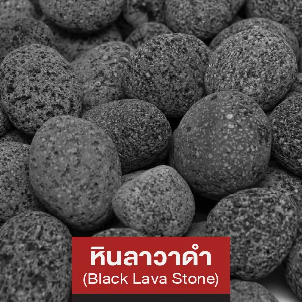 หินลาวาดำ (Black Lava Stone)