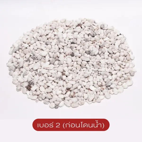 แกลบขาว