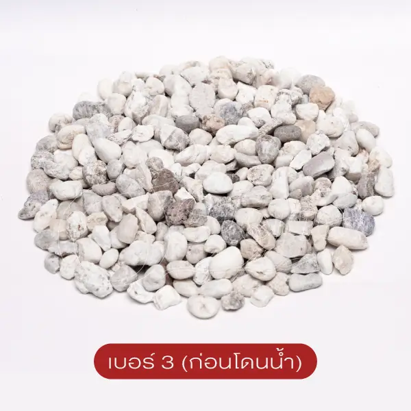 แกลบขาว