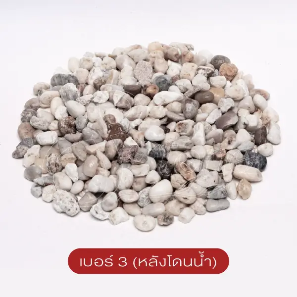 แกลบขาว