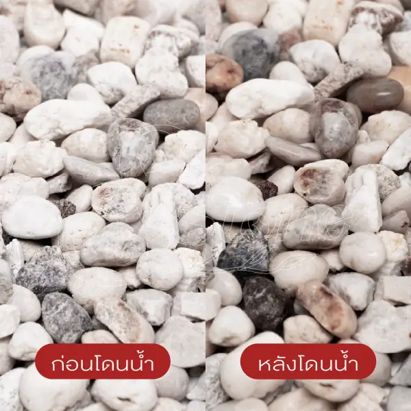 แกลบขาว