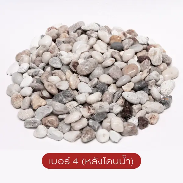 แกลบขาว
