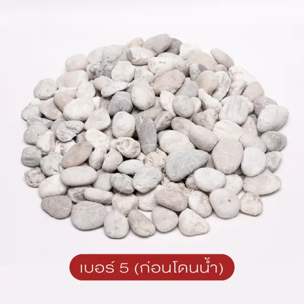 แกลบขาว