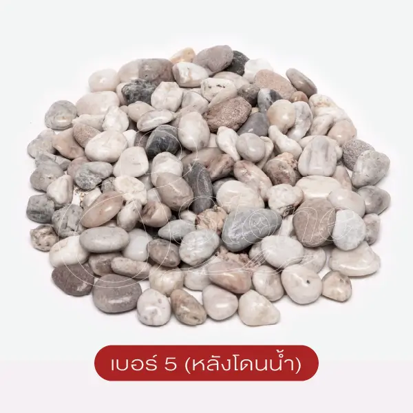 แกลบขาว