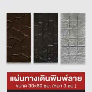NC แผ่นทางเดินพิมพ์ลาย 30x60 ซม.