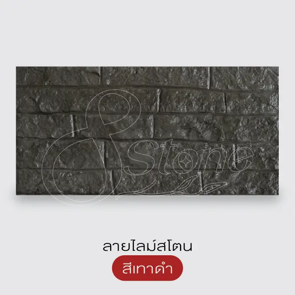 NC แผ่นทางเดินพิมพ์ลาย 30x60 ซม.