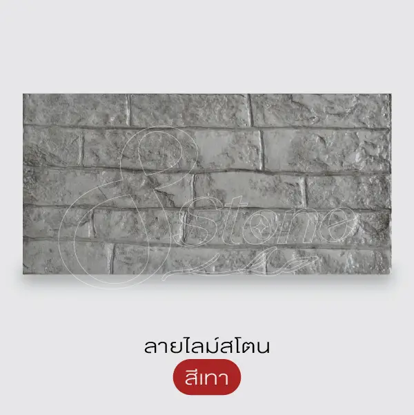 NC แผ่นทางเดินพิมพ์ลาย 30x60 ซม.