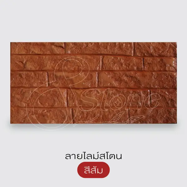 NC แผ่นทางเดินพิมพ์ลาย 30x60 ซม.
