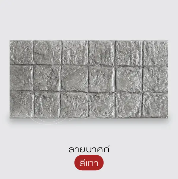 NC แผ่นทางเดินพิมพ์ลาย 30x60 ซม.