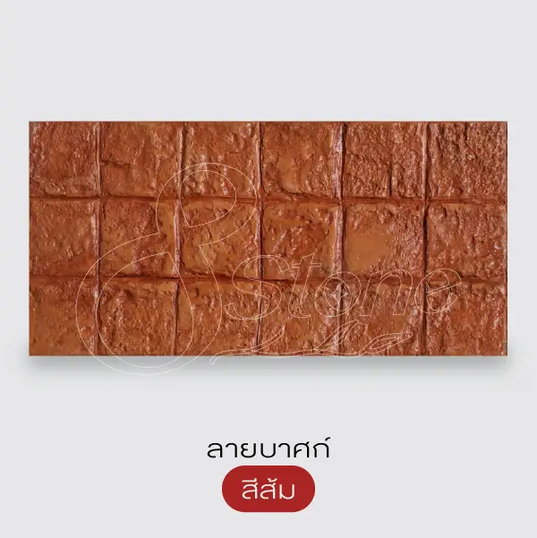 NC แผ่นทางเดินพิมพ์ลาย 30x60 ซม.