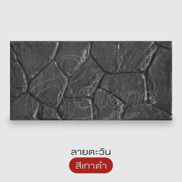 NC แผ่นทางเดินพิมพ์ลาย 30x60 ซม.