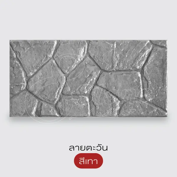 NC แผ่นทางเดินพิมพ์ลาย 30x60 ซม.