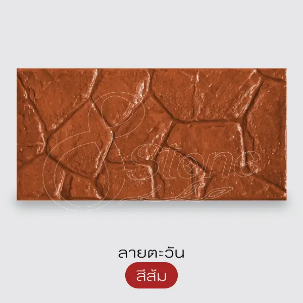 NC แผ่นทางเดินพิมพ์ลาย 30x60 ซม.