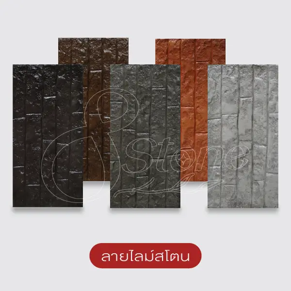NC แผ่นทางเดินพิมพ์ลาย 30x60 ซม.