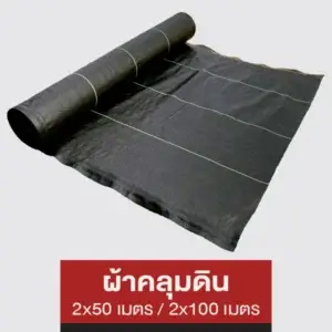 ผ้าคลุมดิน
