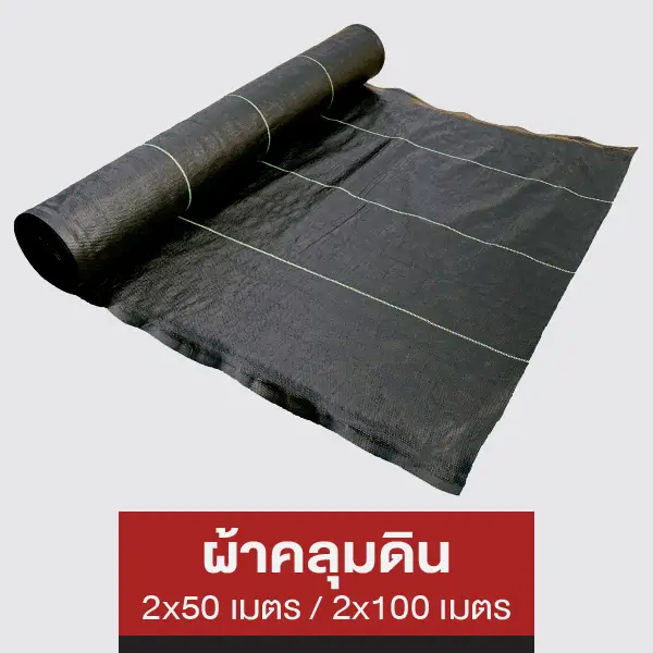 ผ้าคลุมดิน