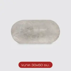 แผ่นปูนเปลือยแคปซูล