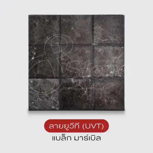 SCG แผ่นทางเดินพิมพ์ลาย 40x40 ซม.