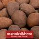 mm-ast-icon-5020