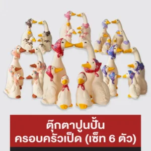 ตุ๊กตาปูนปั้น ครอบครัวเป็ด (เซ็ท 6 ตัว)