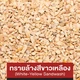 mm-ast-icon-5025