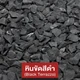 mm-ast-icon-5030