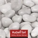 mm-ast-icon-5001